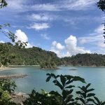 View over a turquoise bay and forested headland from a trail lookout in Manuel Antonio National Park